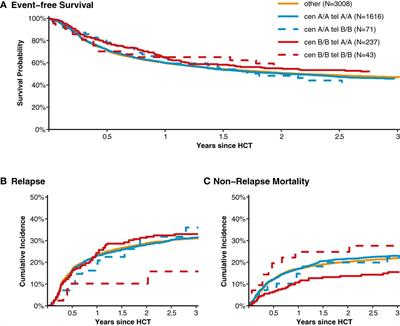 Donor KIR genotype based outcome prediction after allogeneic stem cell transplantation: no land in sight